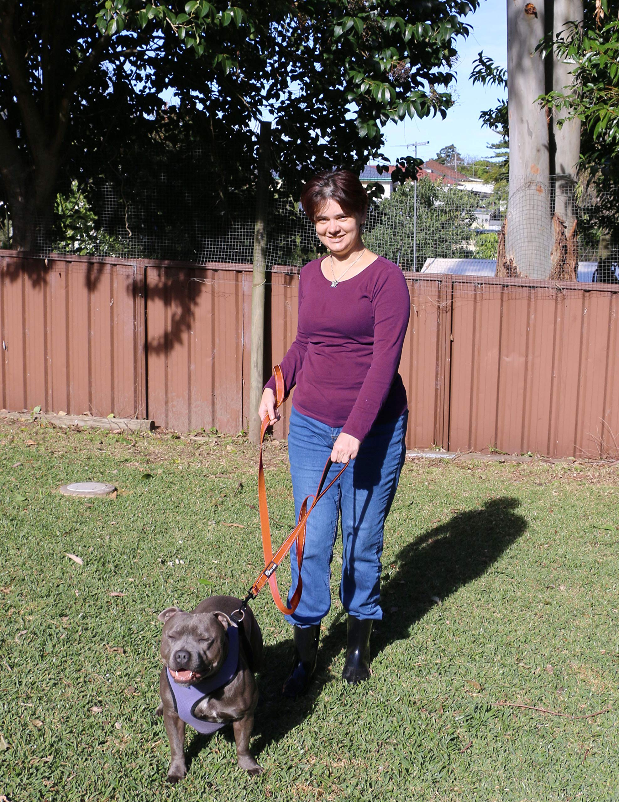 Primal Pet Gear reflective stitching increases visibility at night