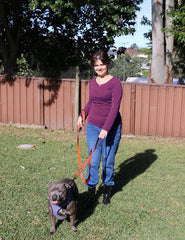 Primal Pet Gear reflective stitching increases visibility at night