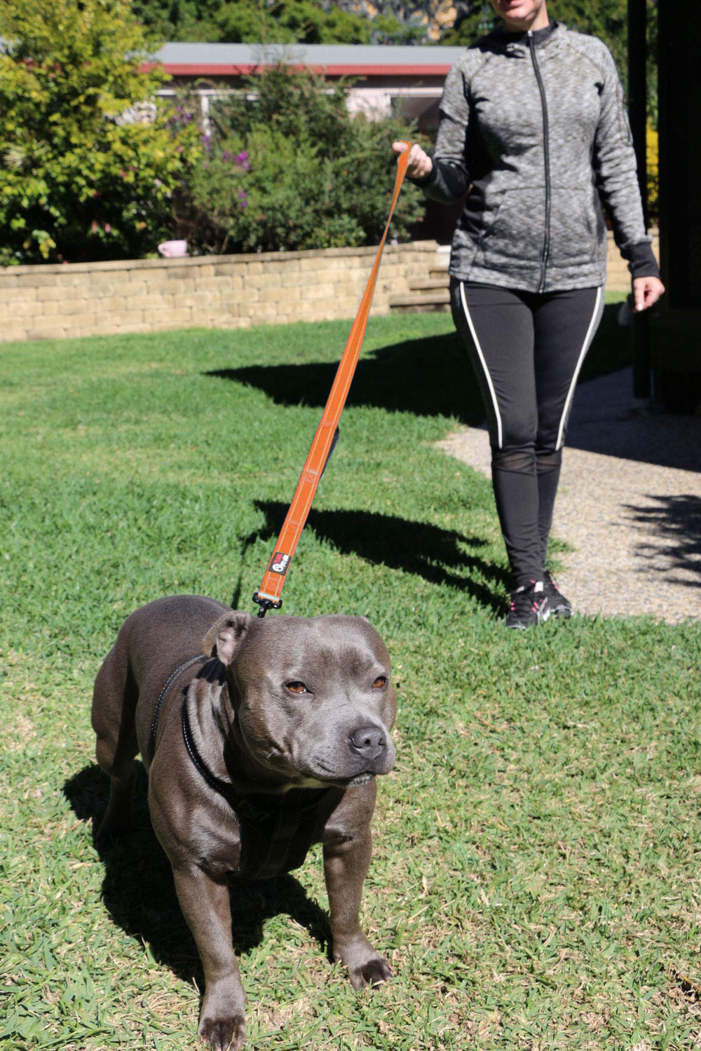 Primal Pet Gear secure metal clip keeps your dog tethered