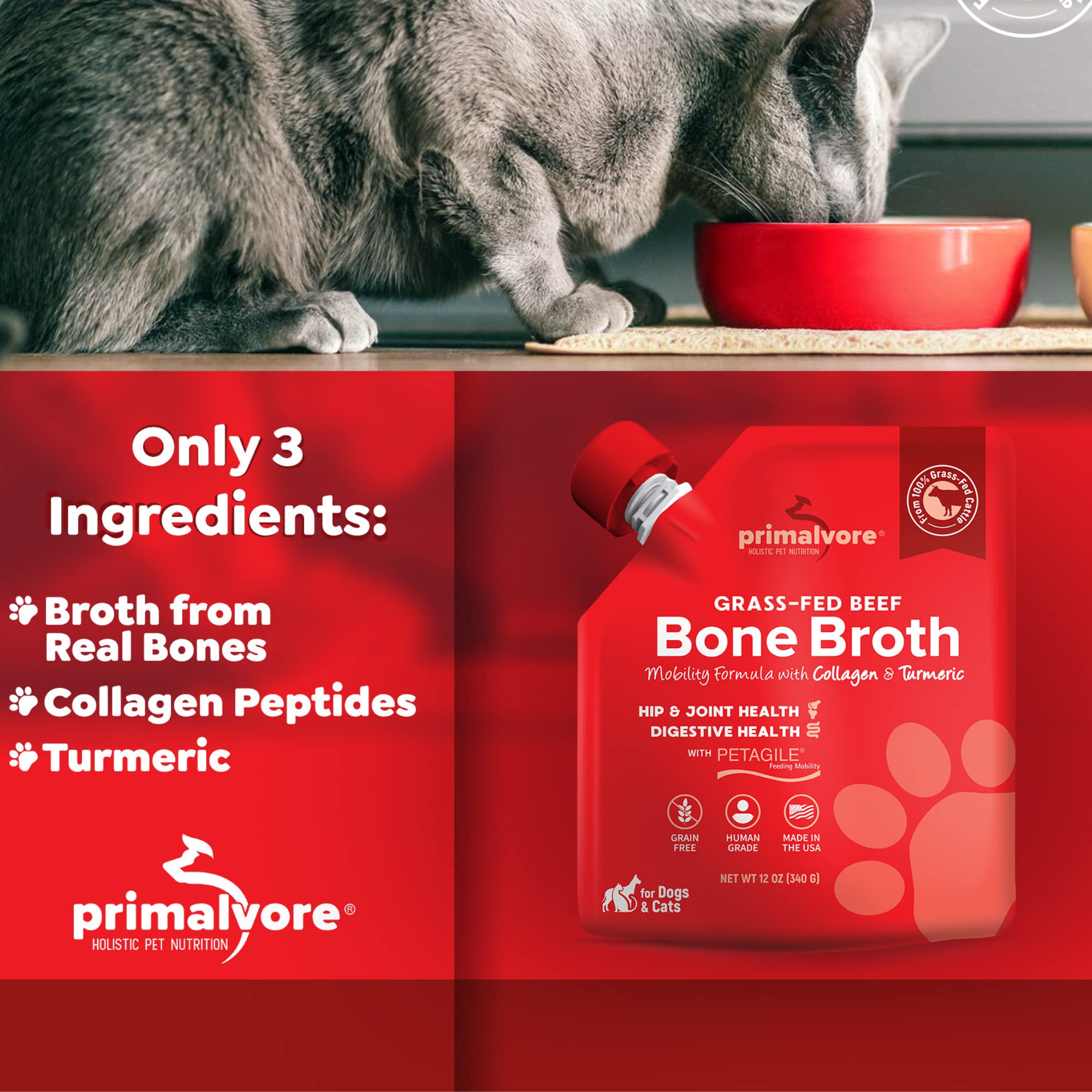 Primalvore pet hydration snack served beside kibble and water bowl.