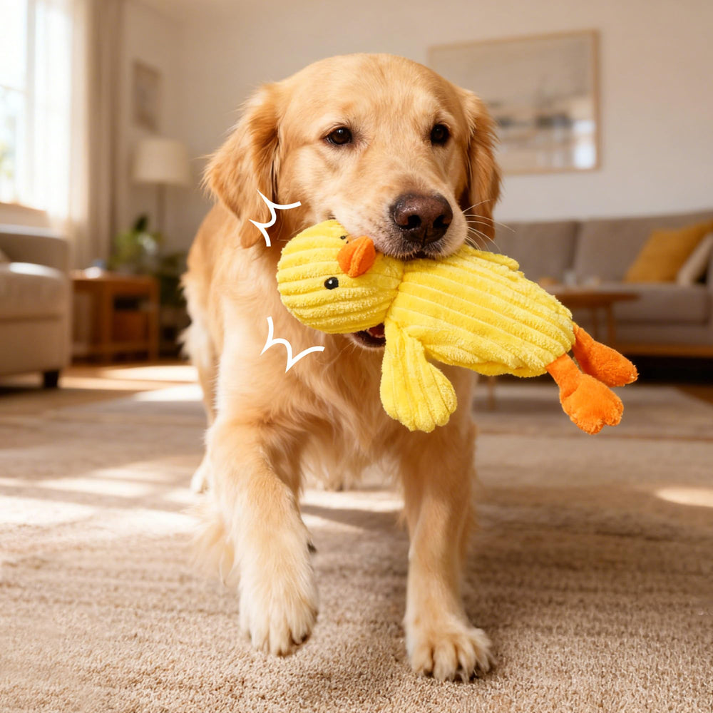 Prime Pets crinkle-head dog toy with squeaker for engaging sounds during play.