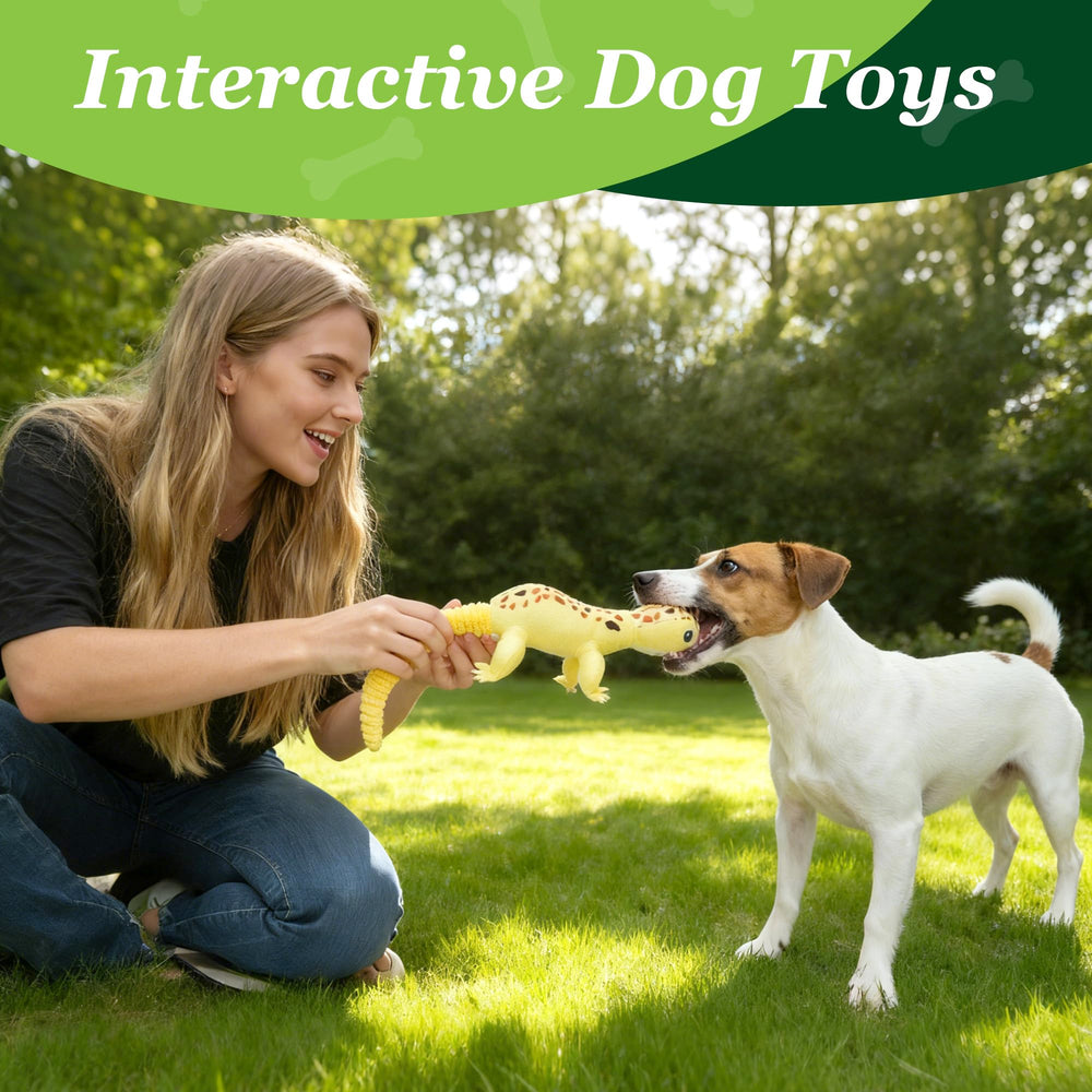 Prime Pets assortment-pack dog toys shown for varied daily play experiences.