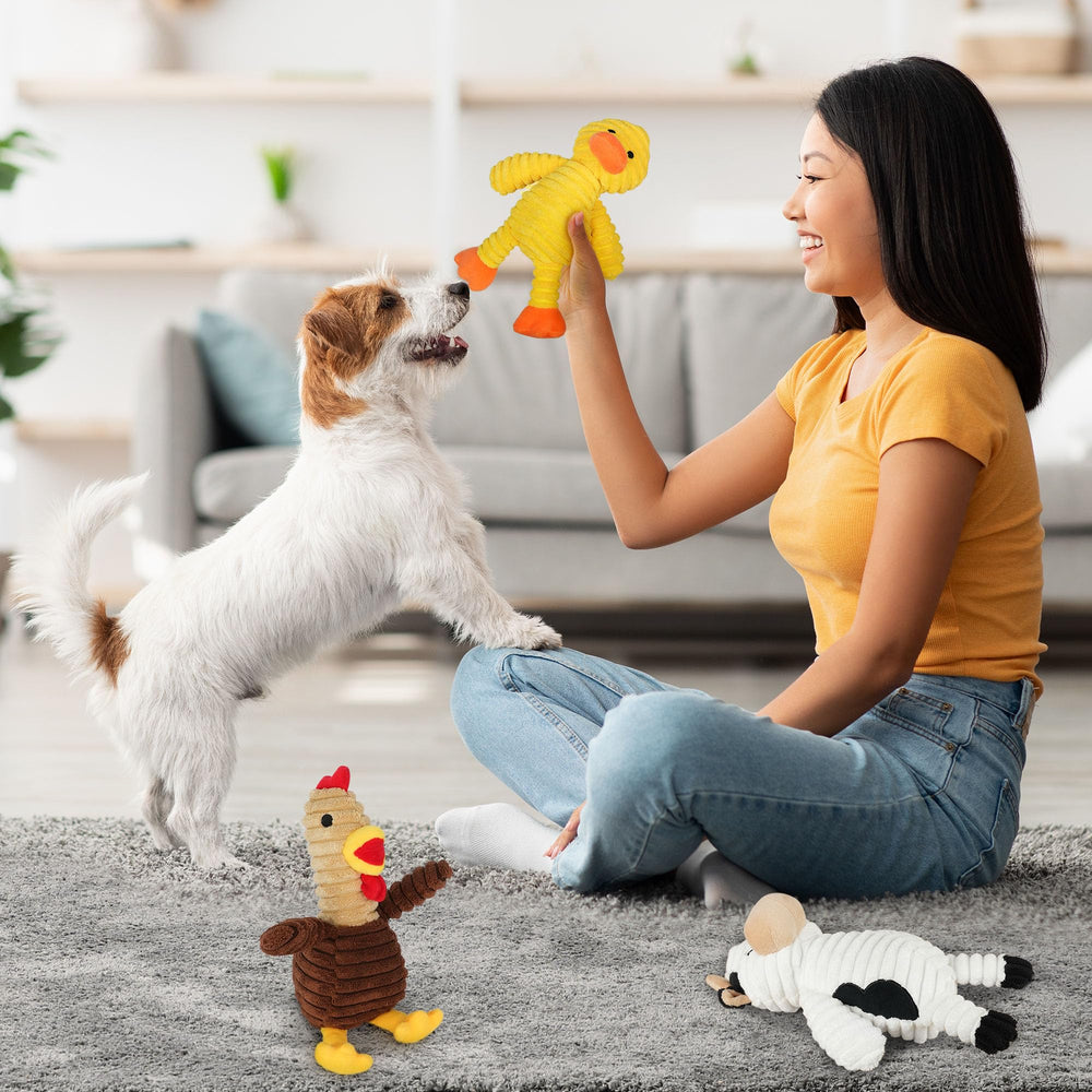 Prime Pets interactive fetch-ready dog toys for indoor and outdoor activities.