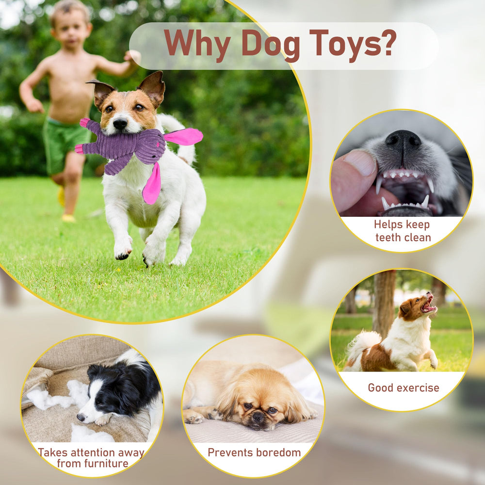 Prime Pets squeaky feature adds fun during fetch and interactive games.