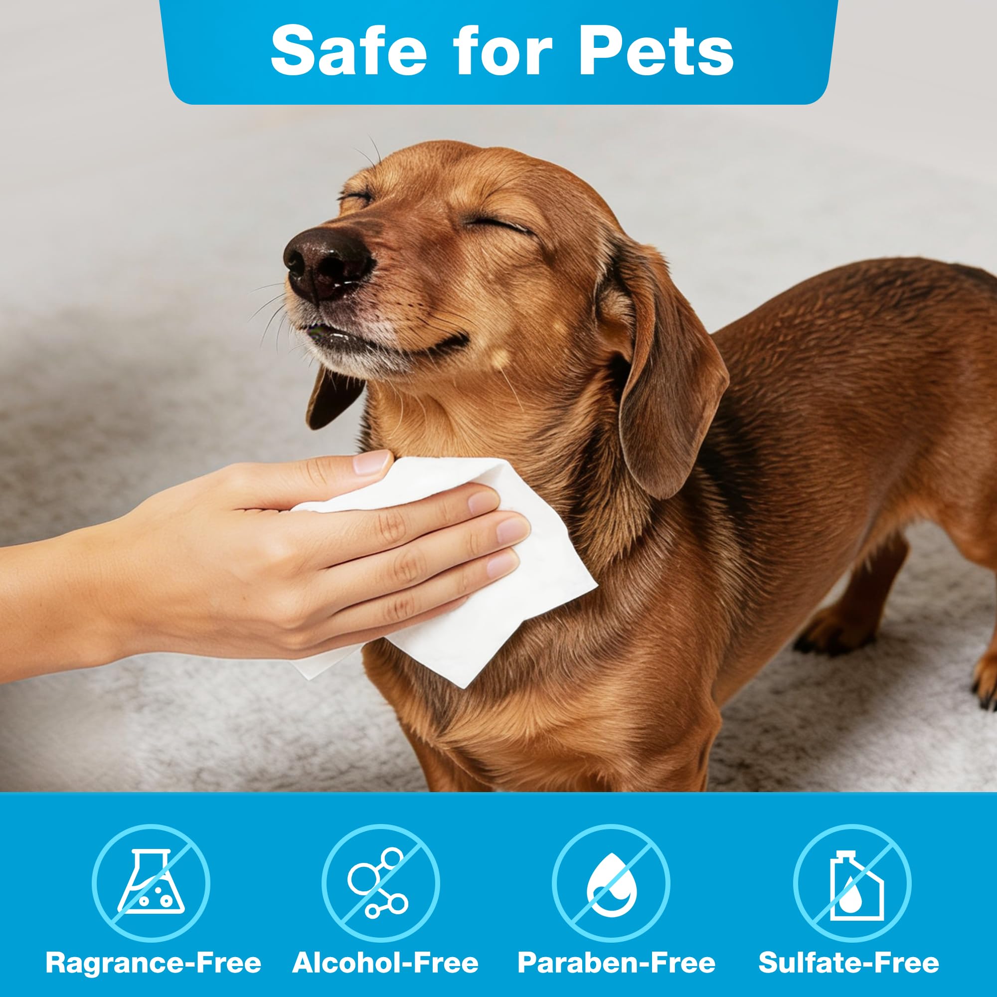 Prime Pets dog wipes for faces and eyes provide careful cleansing around delicate areas.