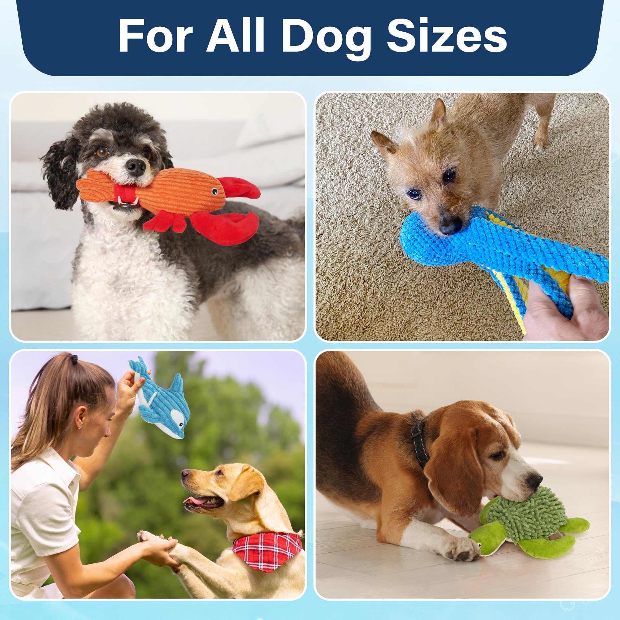 Prime Pets whale plush toy—blue, crinkle-squeak sounds to hold attention.