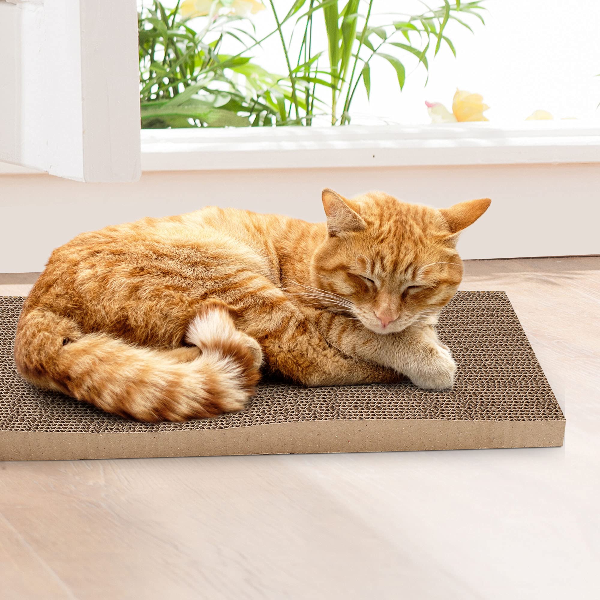 PrimePets easy-to-replace cardboard panels simplify maintenance