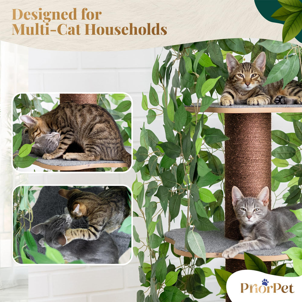 PRIORPET cat tree leaves assembly-tools shows quick setup with included tools