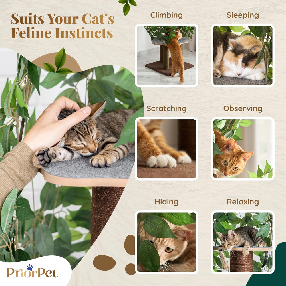 PRIORPET cat tree leaves hideout provides a cozy retreat for napping and watching