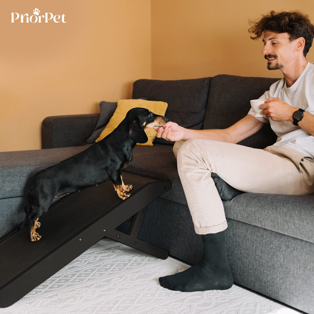 Priorpet ramp ships fully assembled with no tools needed