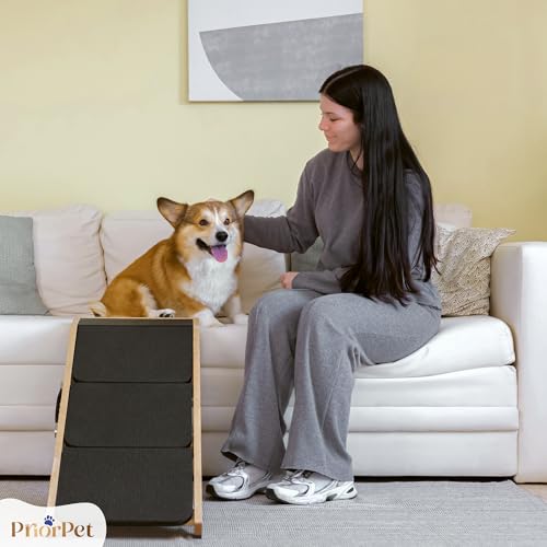 PRIORPET natural-finish-birchwood complements modern living spaces.
