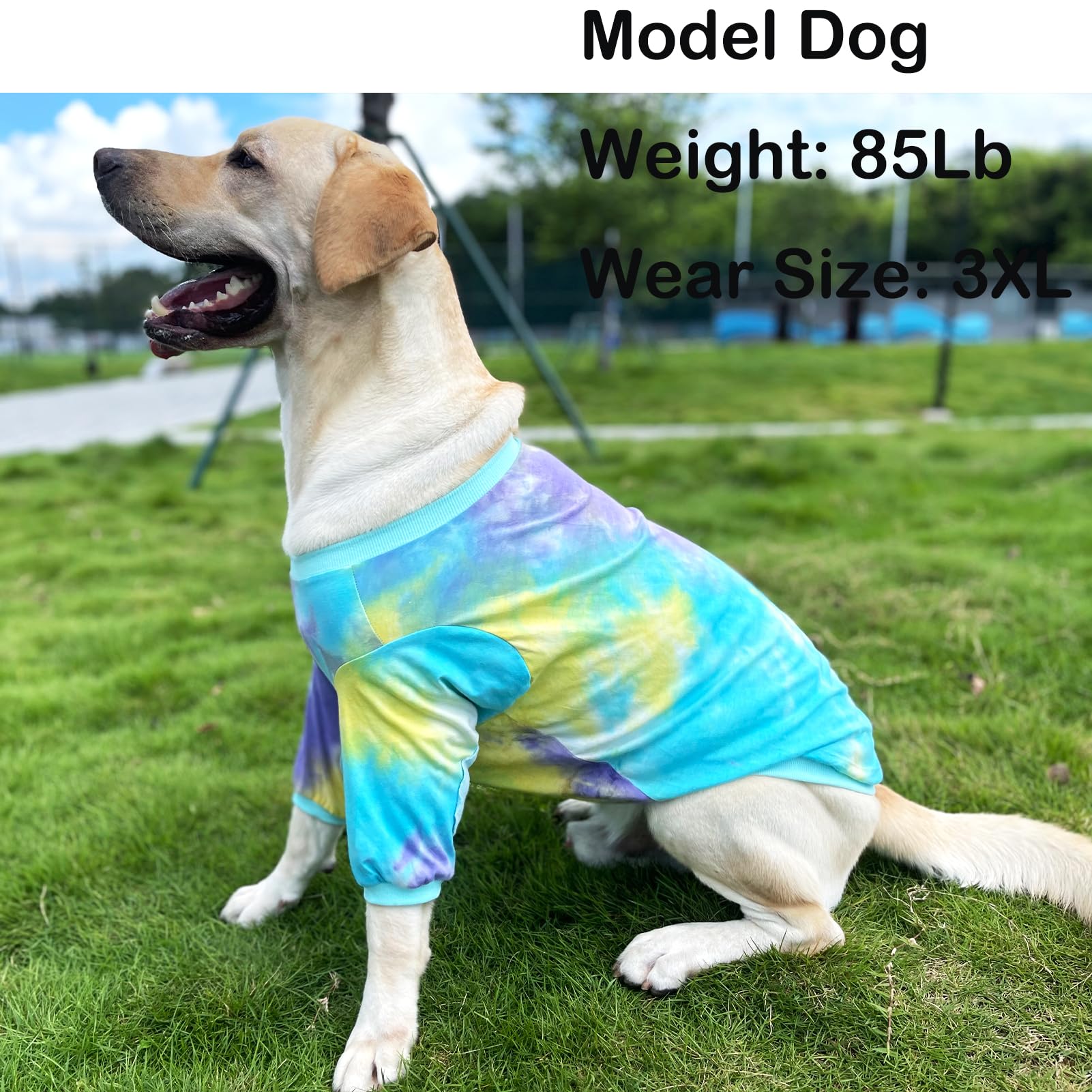 PriPre blue tie-dye dog shirt side view demonstrates flexible movement.