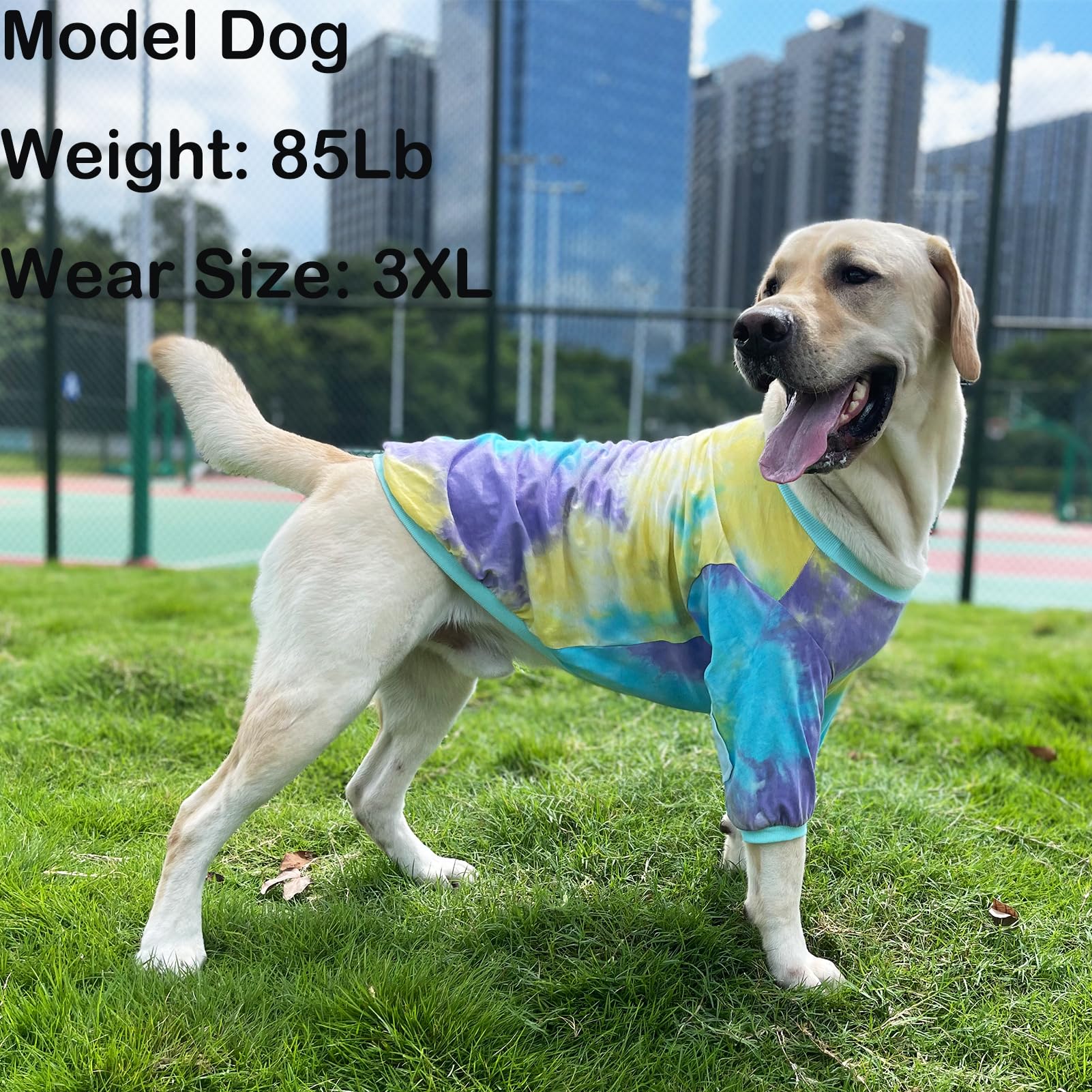 PriPre blue tie-dye dog shirt size chart showcases range from S to 3XL.