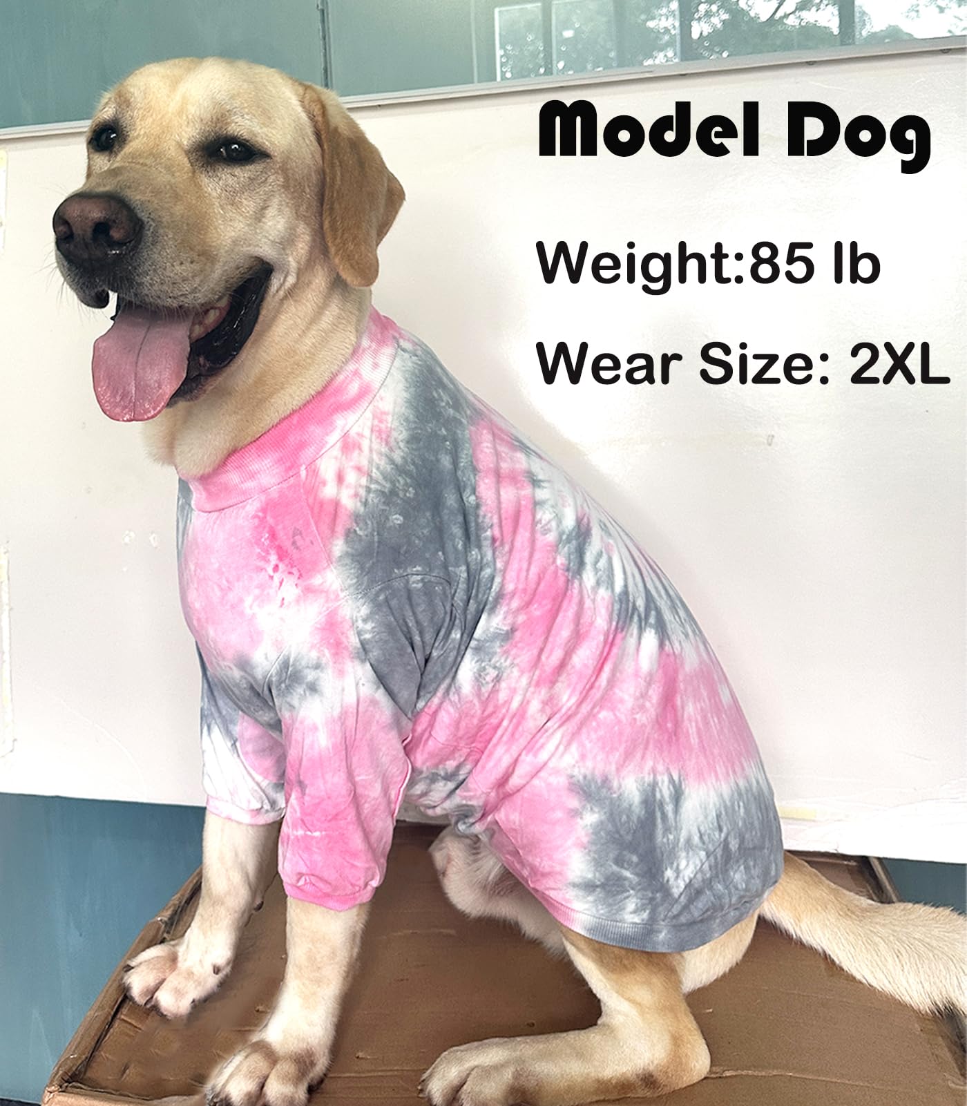 PriPre dog pink tie-dye t-shirt ideal for outdoor outings and events.