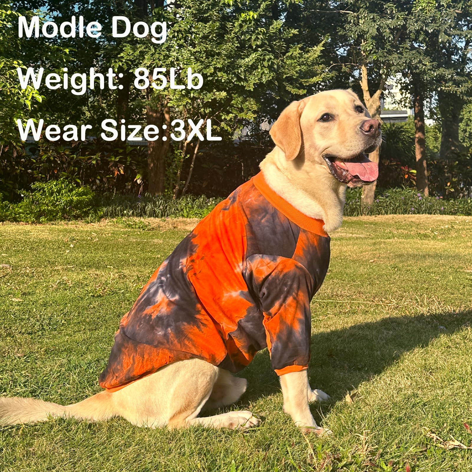 PriPre dog shirt wear-resistance knee area close-up for extended durability
