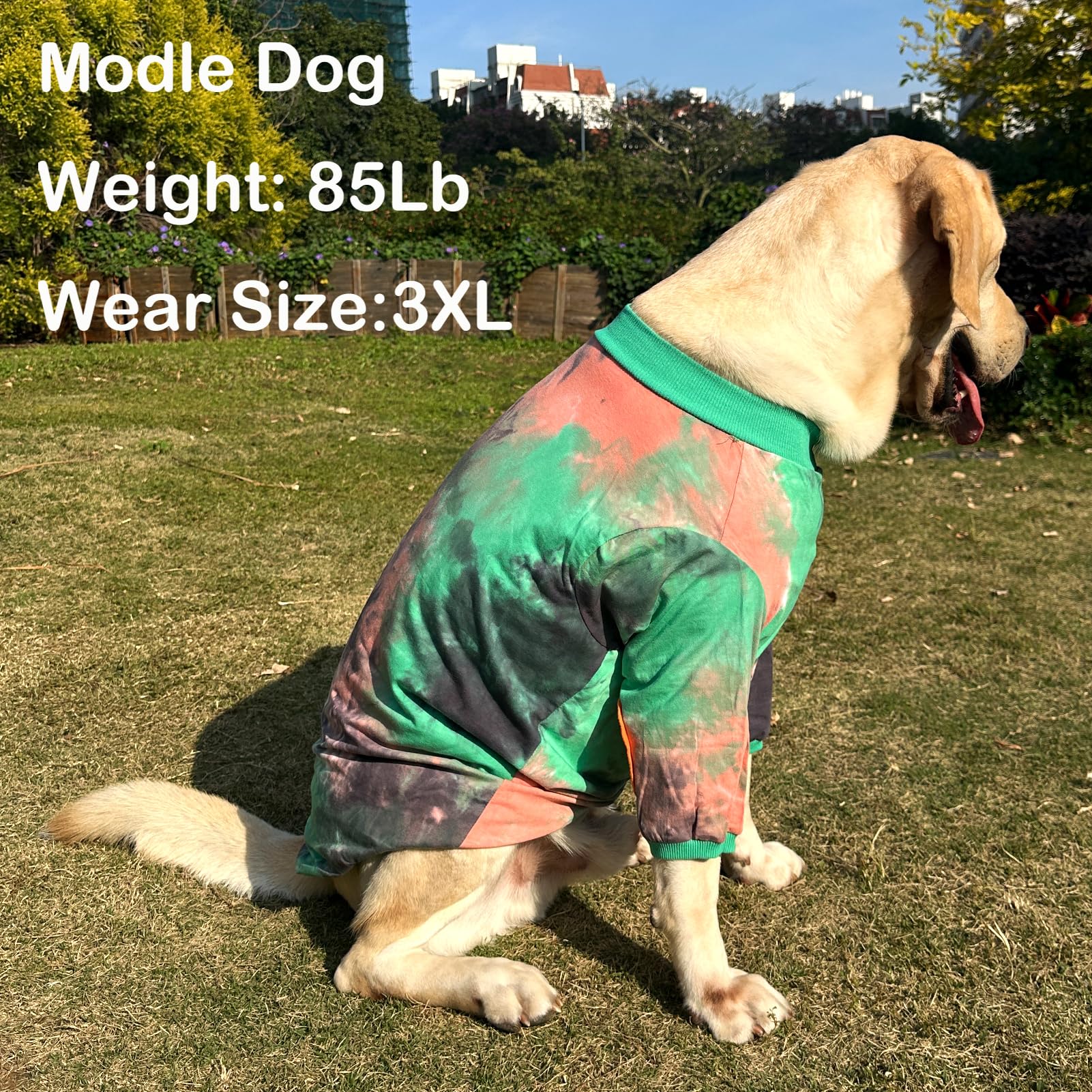PriPre tie-dye shirt elastic neckline and cuffs ease on and off