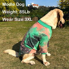 PriPre tie-dye shirt elastic neckline and cuffs ease on and off