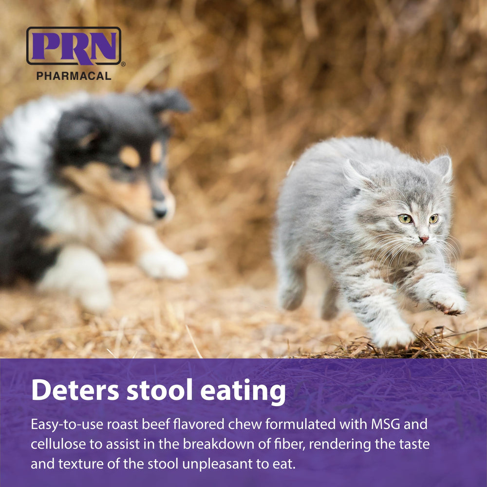 PRN CoproBan near cat litter area illustrating deterrence use case