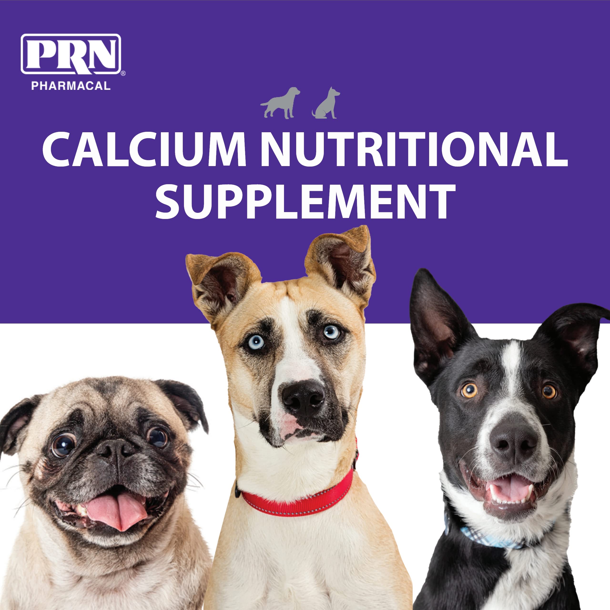 PRN Pharmacal Calsorb dog paw closeup highlighting pet-friendly calcium care.