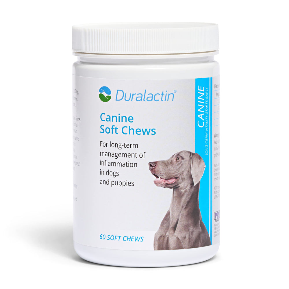 PRN Duralactin canine soft chews in a bowl support daily joint comfort.