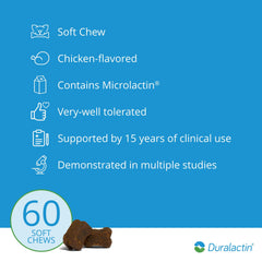 PRN Duralactin chews helping dogs stay active after play.