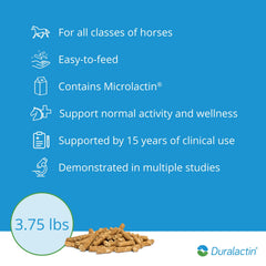 Horse legs with pellets illustrate daily joint maintenance