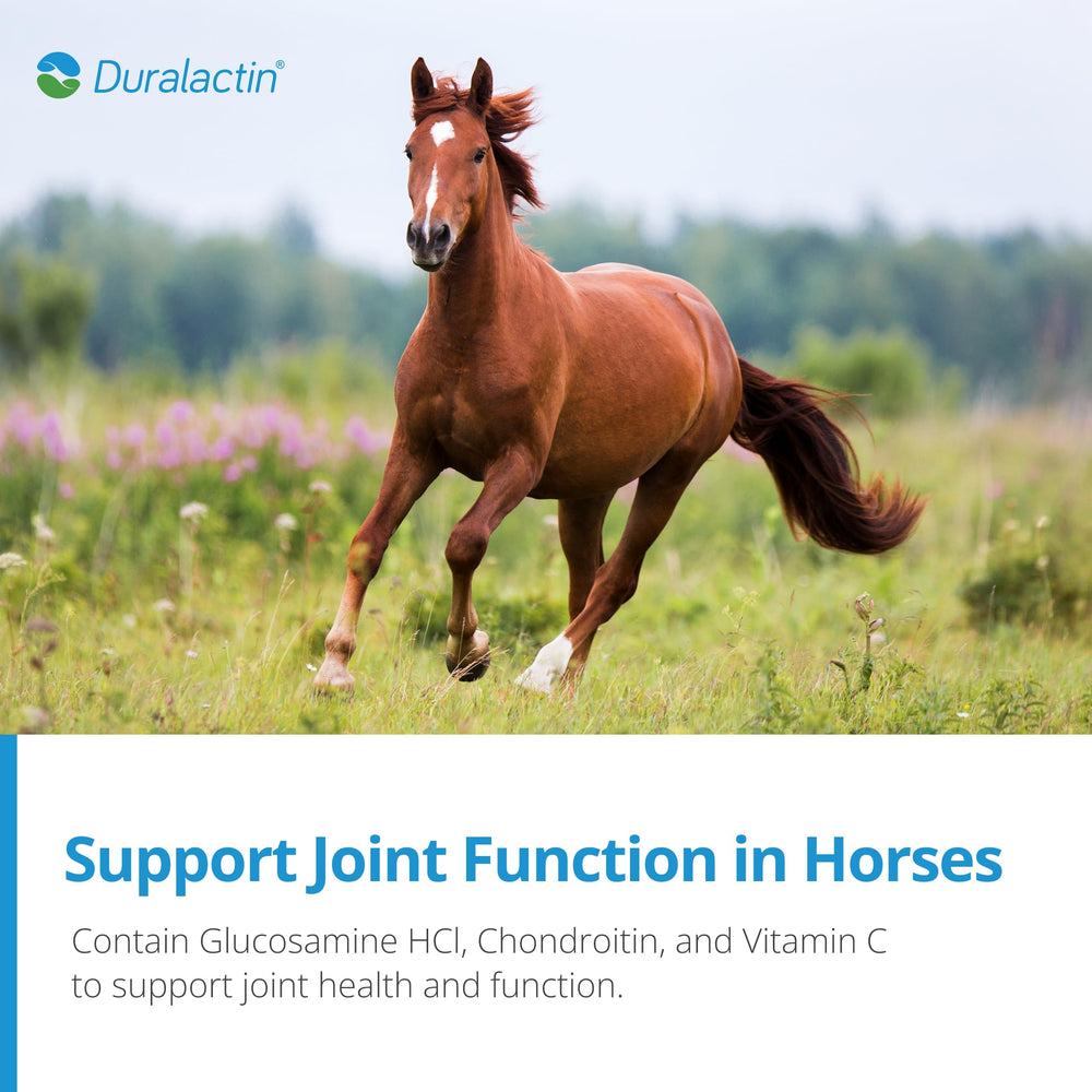 Microlactin ingredient highlighted for natural cartilage support