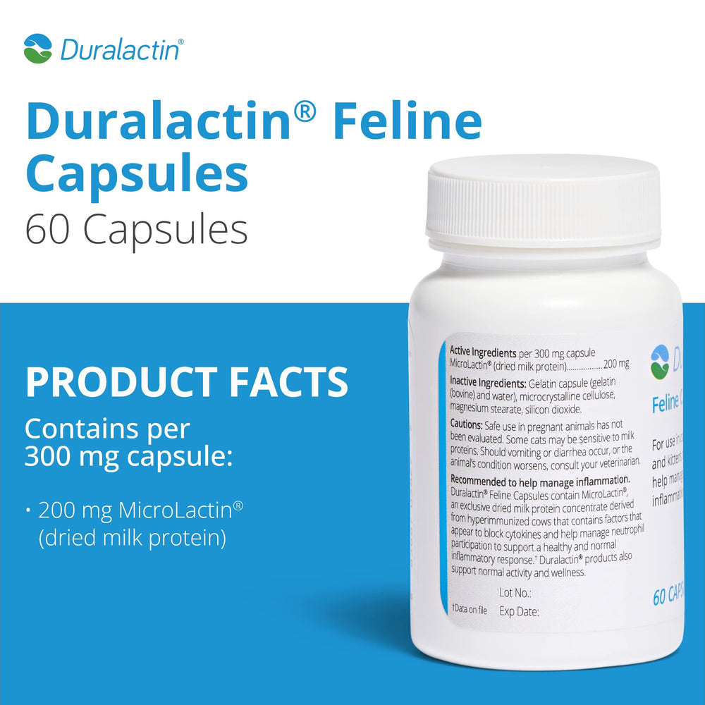 PRN Pharmacal Duralactin Feline capsules closeup for mobility support in cats