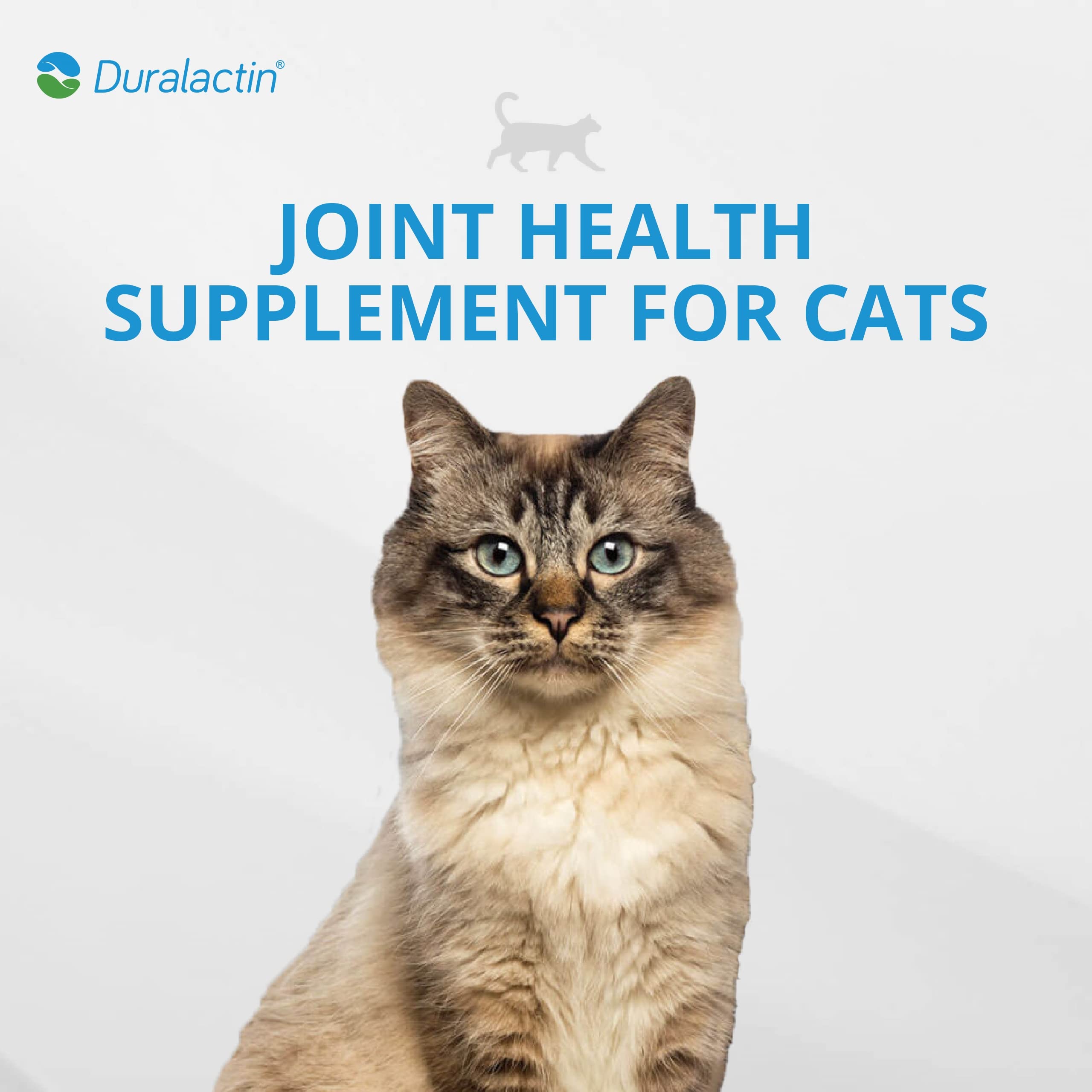 PRN Pharmacal Duralactin Feline dried milk protein concentrate visual for mobility-supporting ingredients