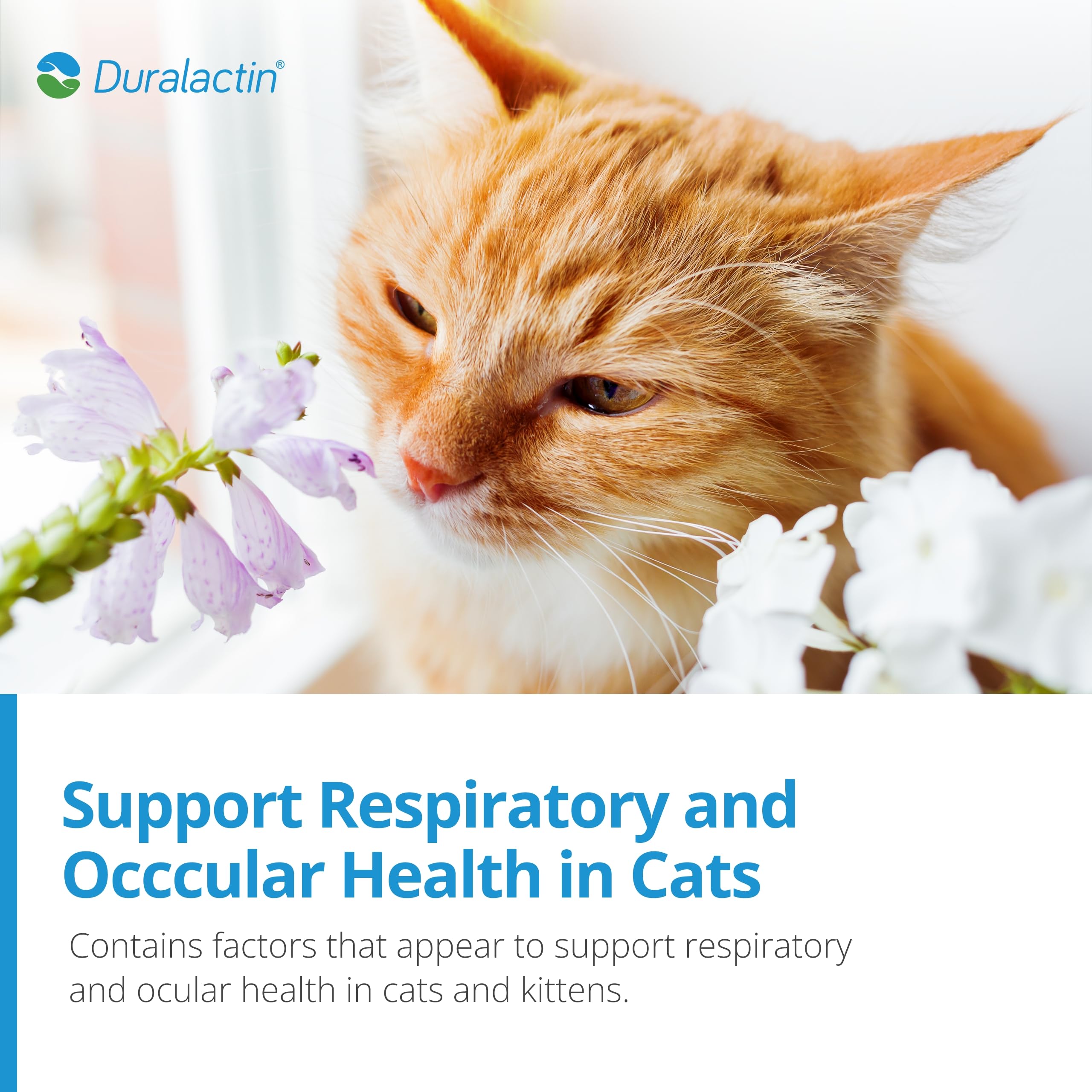 PRN Duralactin feline paste bottle label highlights omega fatty acids.