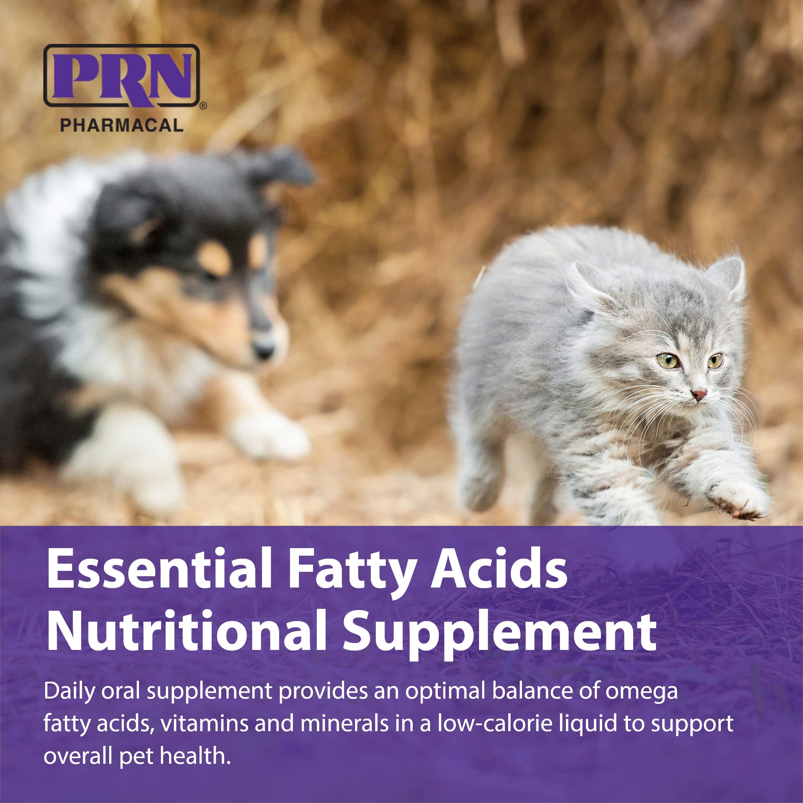 PRN Optima 365 gallon container emphasizes convenient, ongoing pet health support.