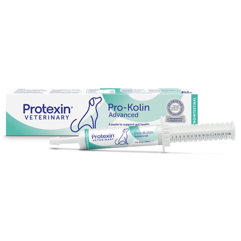 Pro-Kolin Advanced dog paste dispensing from 30ml syringe for gut support.