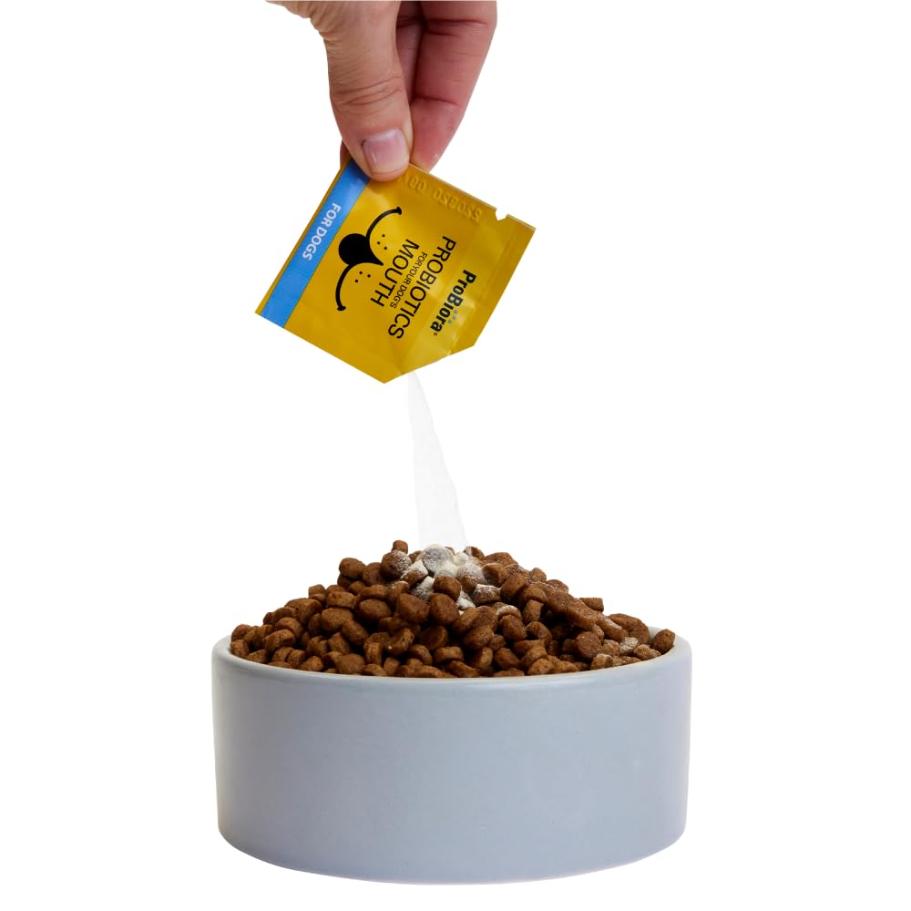 Probiora for Dogs gum-health image emphasizes gum and tooth health support.