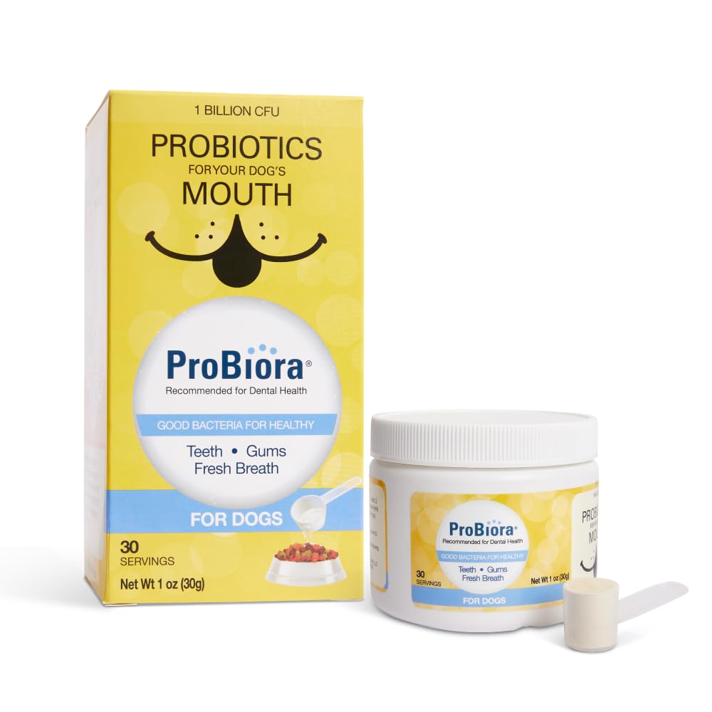 Probiora Health two-jar pack shows convenient at-home dental care.