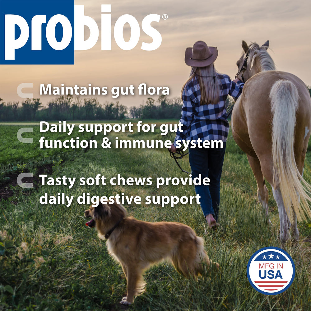 Probios para caballos: porción diaria de gomitas con sabor manzana para equilibrio intestinal.