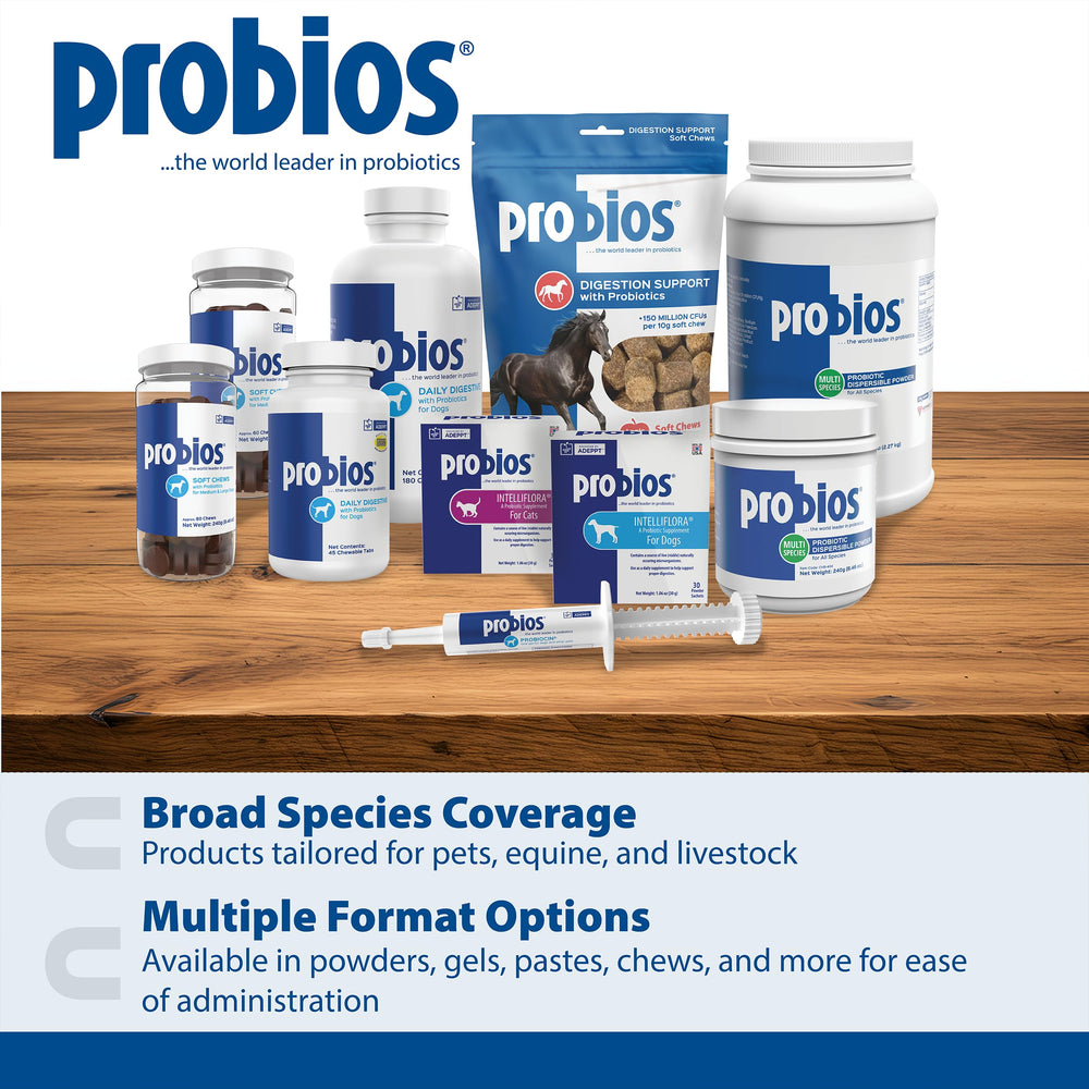Probios five-strain probiotic blend with 5M CFU per chew for gut balance.