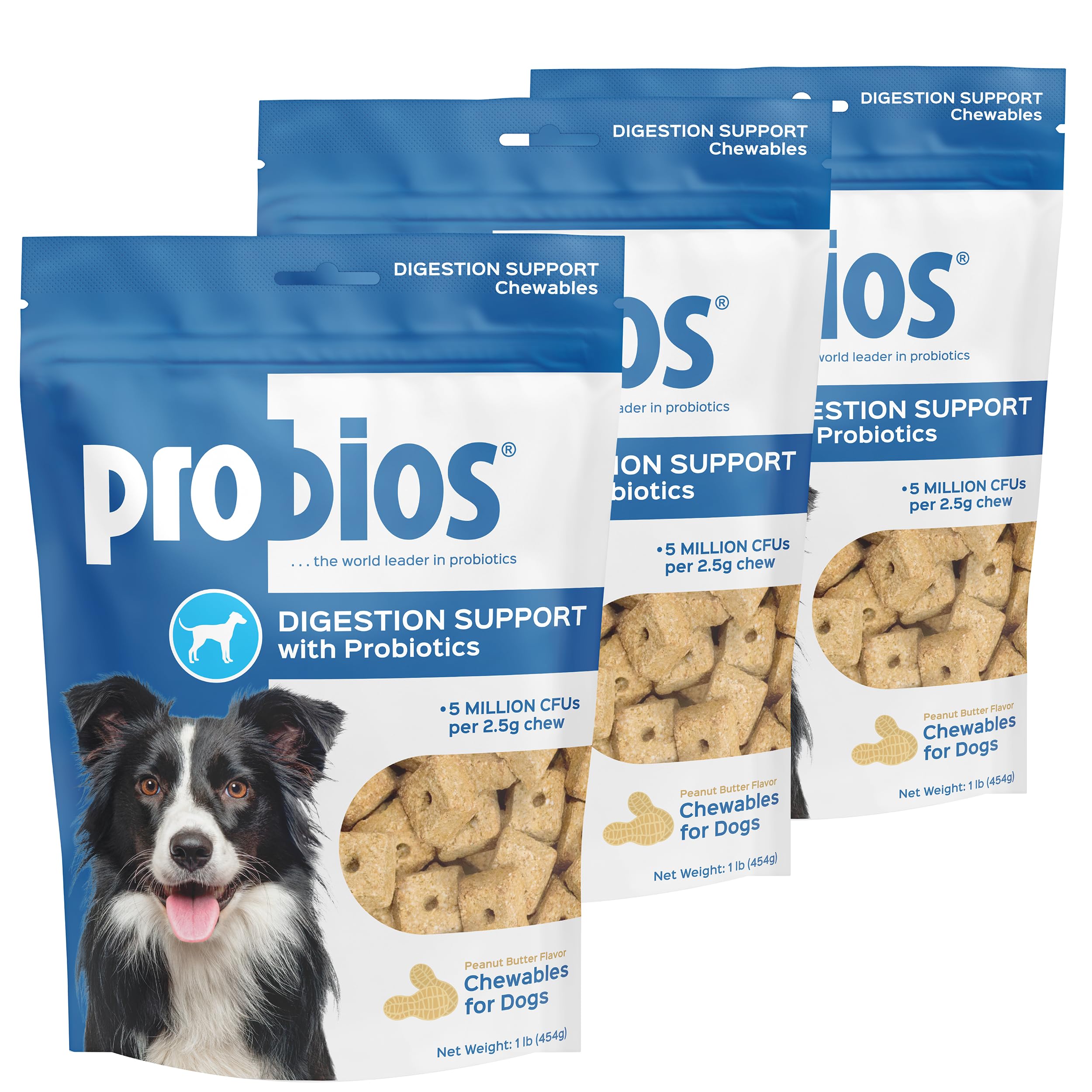 Probios Digestive Support Chewables bottle and packaging for daily gut health.