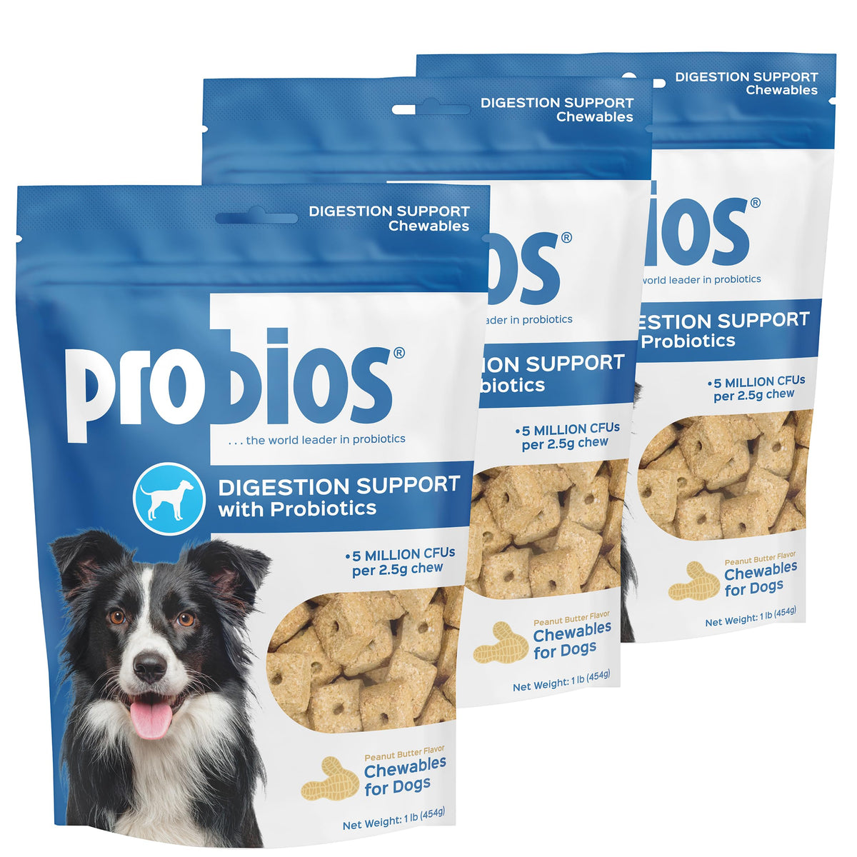 Probios Digestive Support Chewables bottle and packaging for daily gut health.
