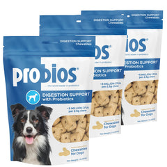 Probios Digestive Support Chewables bottle and packaging for daily gut health.