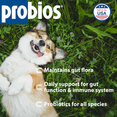 Probios multi-strain blend image shows 10 million CFU/g probiotic formula.