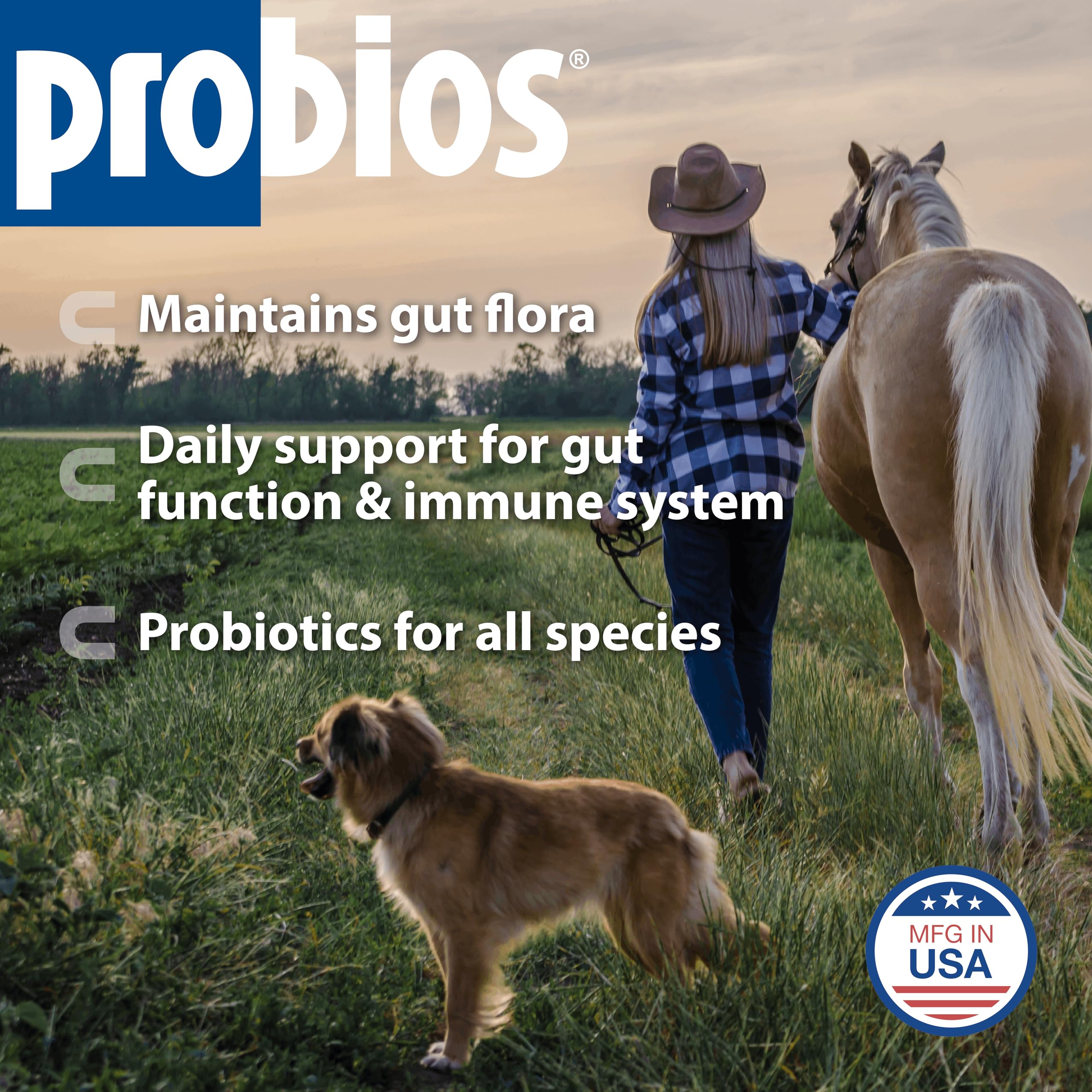 Probios dispersible powder being poured into dog food for easy digestion