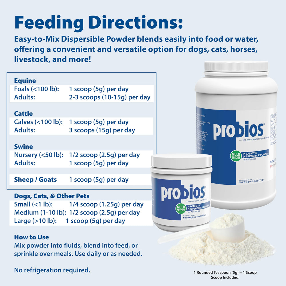 Probios Dispersible Powder container shows USA-made quality.