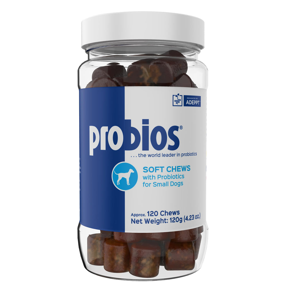 Probios Dog Soft Chews with chicken liver flavor for easy daily gut support.
