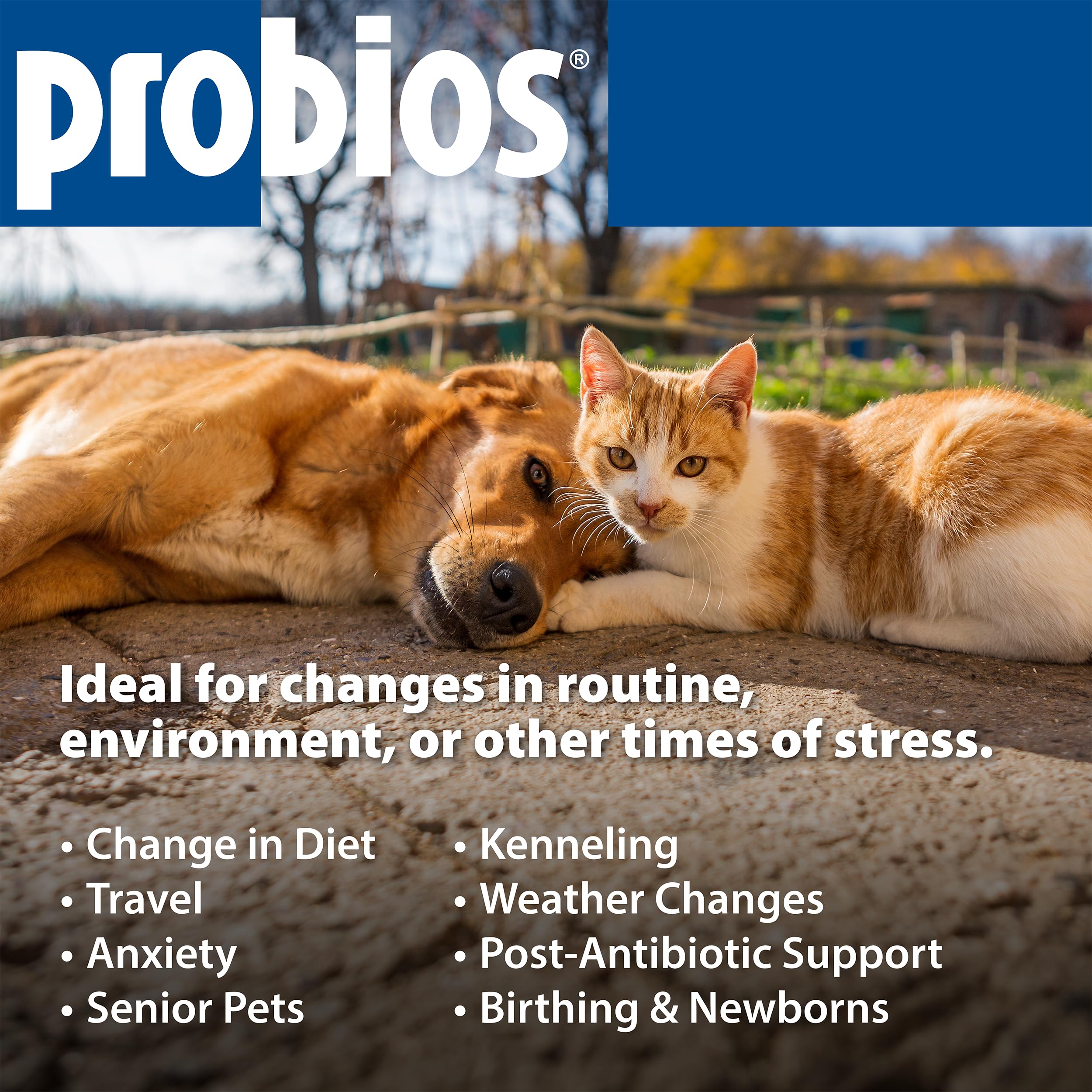 Probios made in the USA in an SQF-certified facility ensures quality.