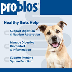 Probios for Dogs Soft Chews label—multi-strain probiotics for gut balance