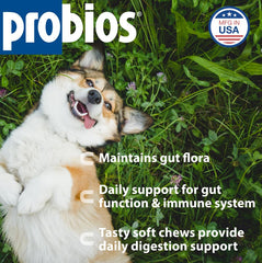 Probios Soft Chews dog chew—tasty chicken liver flavor for easy supplementation