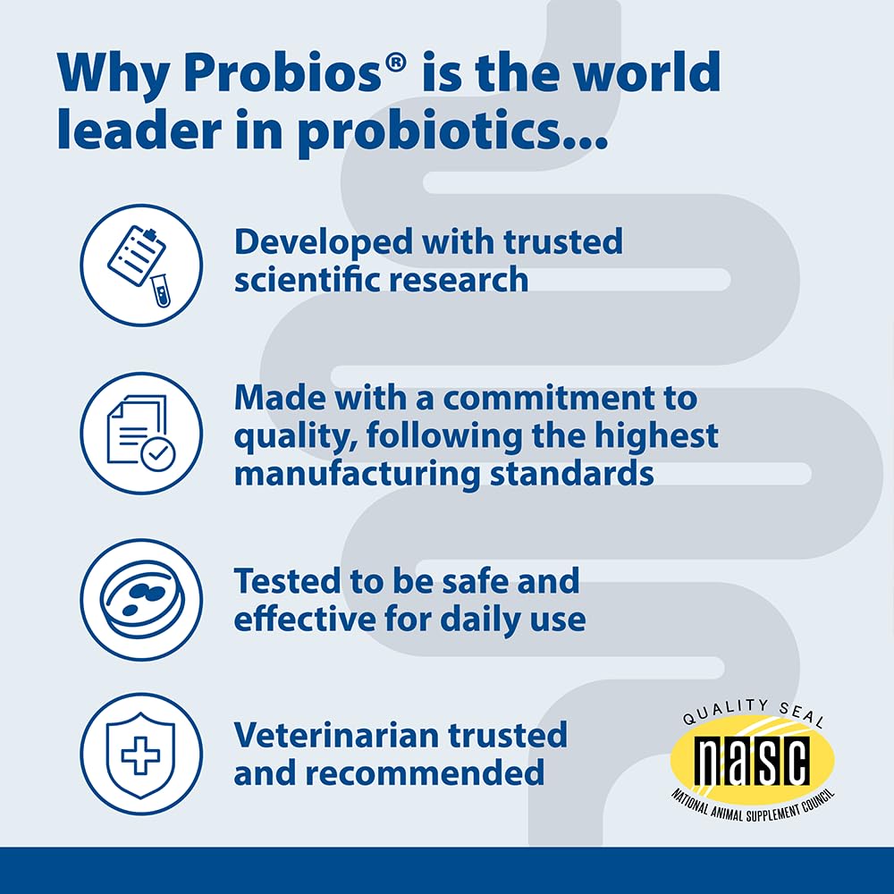 Probios for Horses Soft Chews on a stable desk illustrate simple daily dosing.