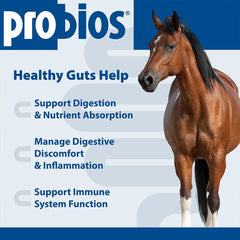 Probios for Horses Soft Chews pack-two boxes emphasize convenient two-pack probiotic routine.