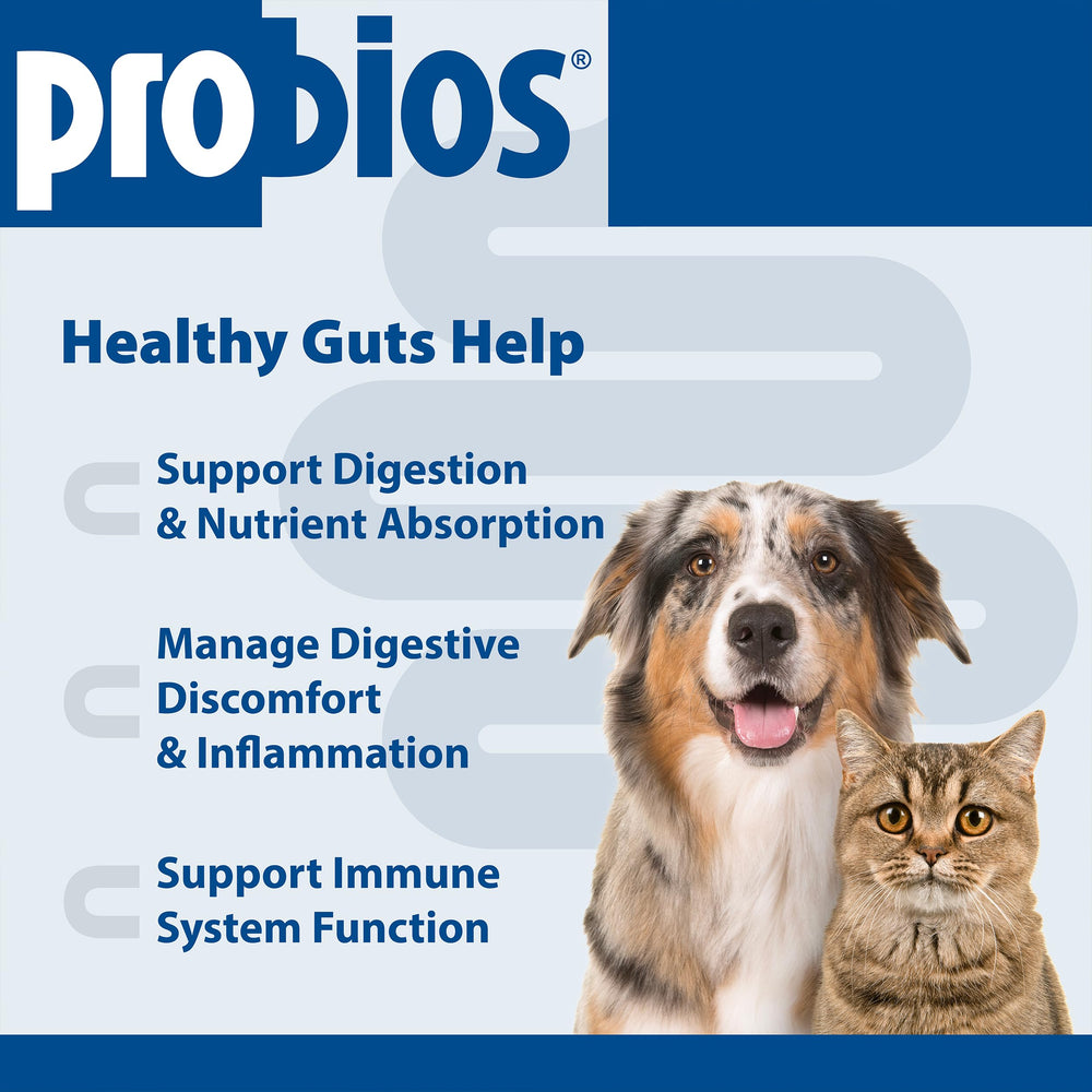 Probios Probiocin Oral Gel front label highlighting probiotic features