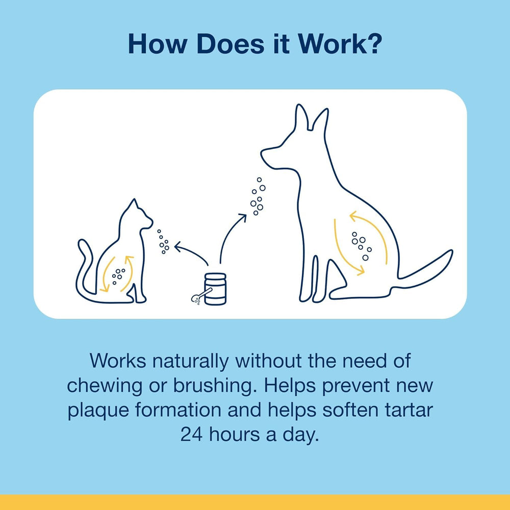 ProDen PlaqueOff powder on cat food supports daily routine.